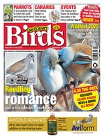 Cage & Aviary Birds